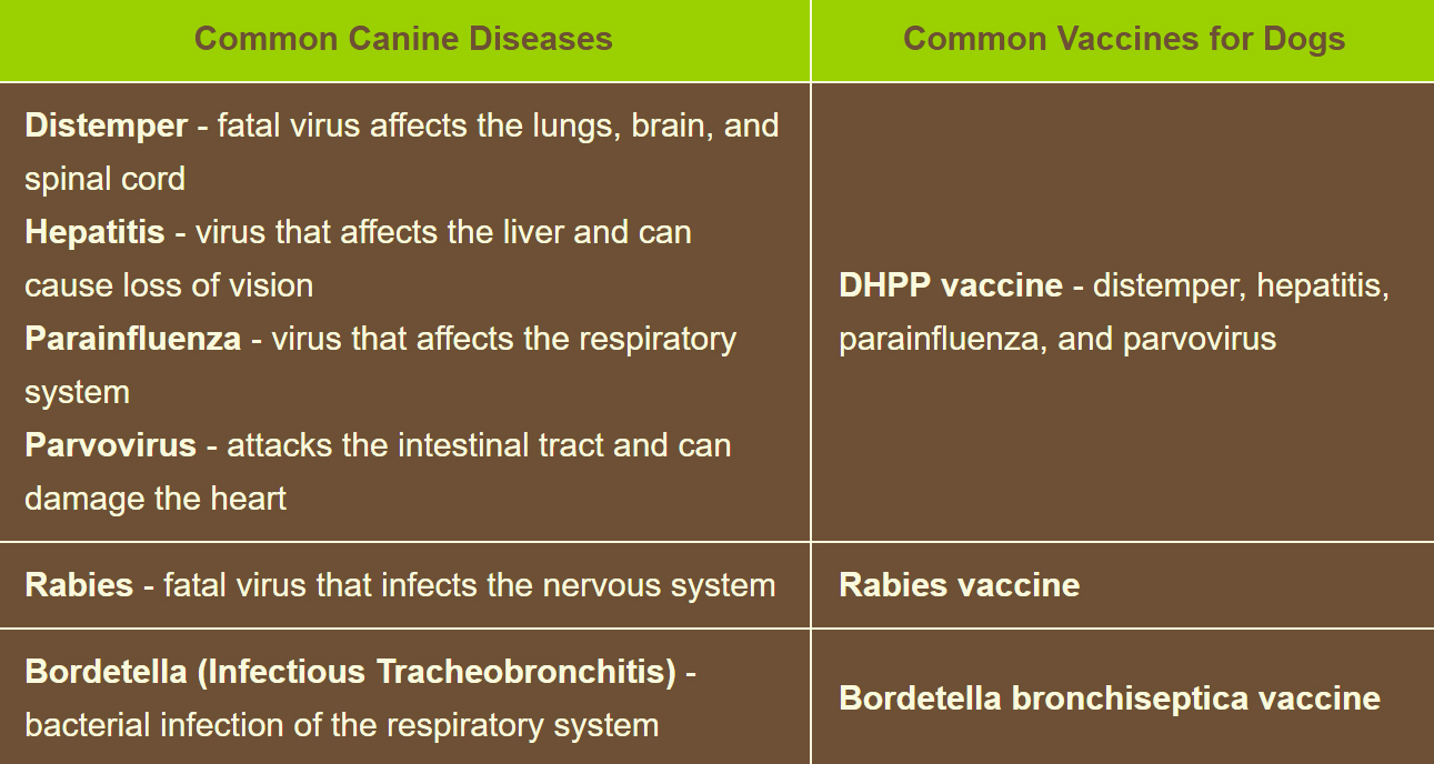 Canine Disease Chart