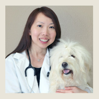 Citrus Veterinary Clinic - Our veterinarian Catherine Cheng VMD Citrus Veterinary Clinic - Our veterinarian Catherine Cheng VMD